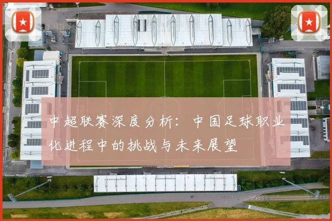 中超联赛深度分析：中国足球职业化进程中的挑战与未来展望